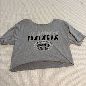 Gray Palm Springs Graphic Tee